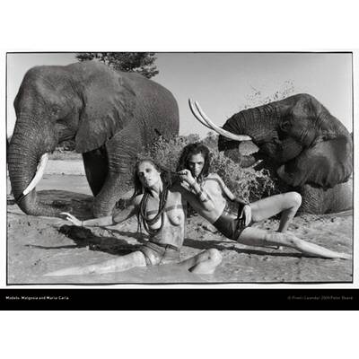 Pirelli Kalender 2009: Die schönsten Bilder von Peter Beard