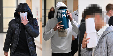 Prozess Missbrauch Wien