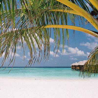 10. Cathedral Cove, Hahei, Coromandel (Neuseeland)