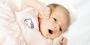 Resetarits: Zurück zum Start