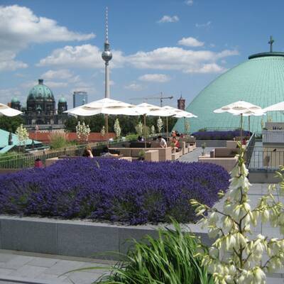 Die schönsten Hotel-Dachterrassen