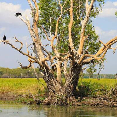 Uluru-Kata Tjuta Nationalpark im Nordterritorium/Australien
