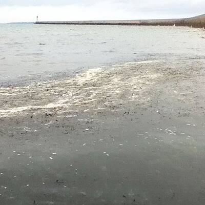 Hotel Valdor*** in Cavallino-Treporti / Italien