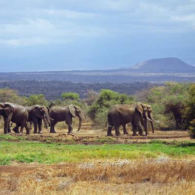 Hotels mit Traum-Aussicht