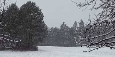 3f4aa3a2-8b86-41c6-97d8-9fbdf06db72a.jfif