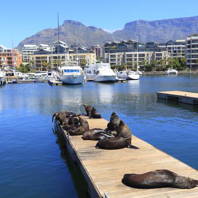 10. Auckland, Neuseeland