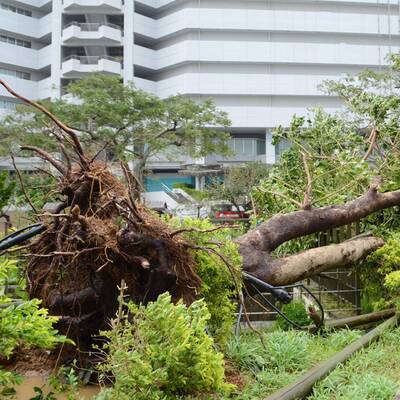 So wütet Taifun Neoguri
