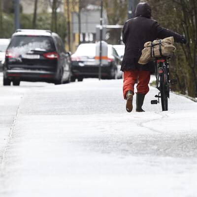 Vogelschar auf der Marswiese