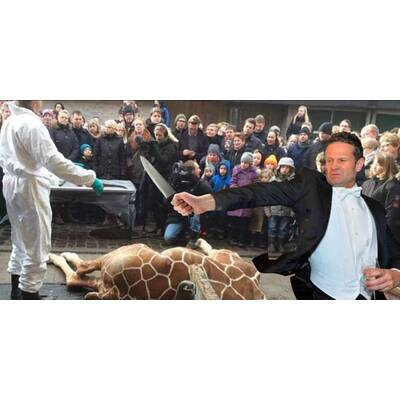 Ball-Prügler wird Internet-