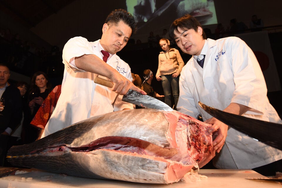 Festival für Fisch- und Weinliebhaber