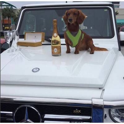 Jetzt kommen die russischen Protz-Teenies