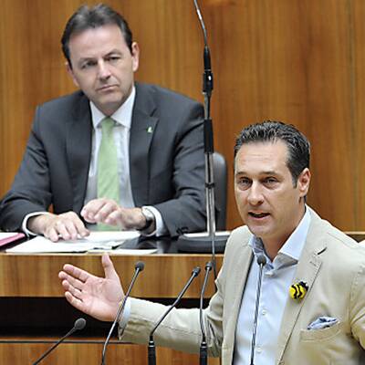 Die Bilder zur Bienen-Sitzung