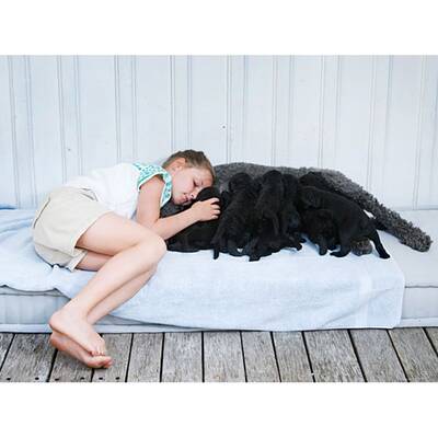 Mette-Marit und Prinz Haakon im Hunde-Glück