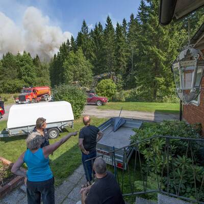 Größter Waldbrand aller Zeiten
