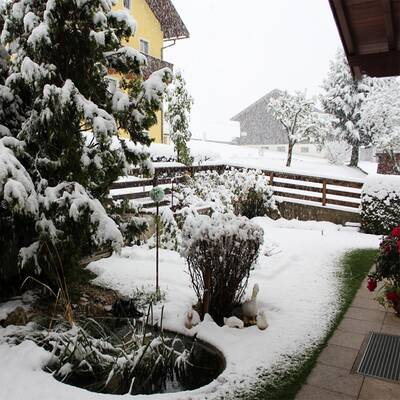 Steinach am Brenner (Tirol)