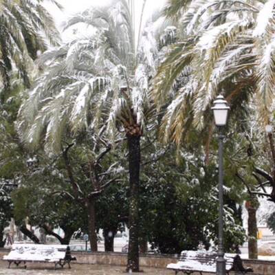 Schneefall im Februar 2012