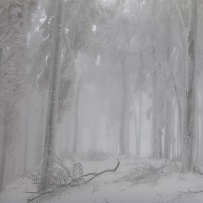 Waidhofen an der Thaya, NÖ