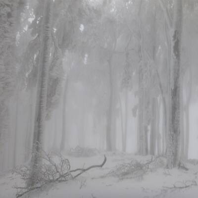 Waidhofen an der Thaya, NÖ