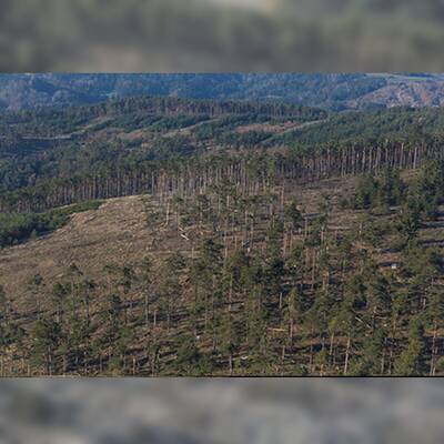 So enorm sind die Schäden