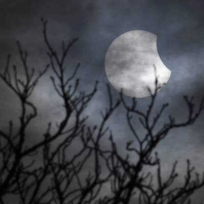 Die schönsten Fotos der oe24-Leserreporter