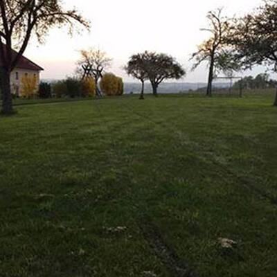 Wilde Verfolgungsjagd durchs Mostviertel 