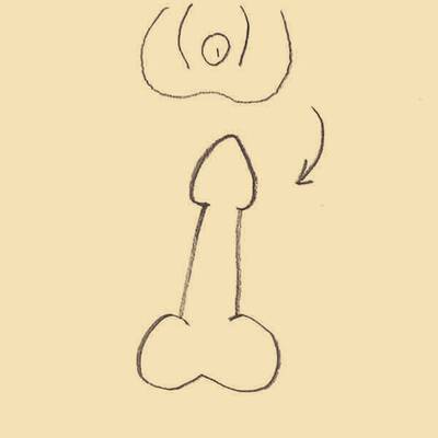 Der beschnittene Penis