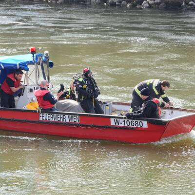 Auto stürzte nach Unfall in den Donaukanal 