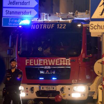 Wiener Polizist niedergefahren 