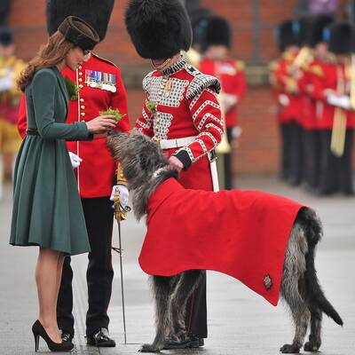 Kate schmiss sich  für den St. Patrick’s Day in Schale.
