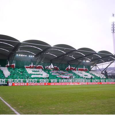 Die Bilder vom 304. Wiener Derby