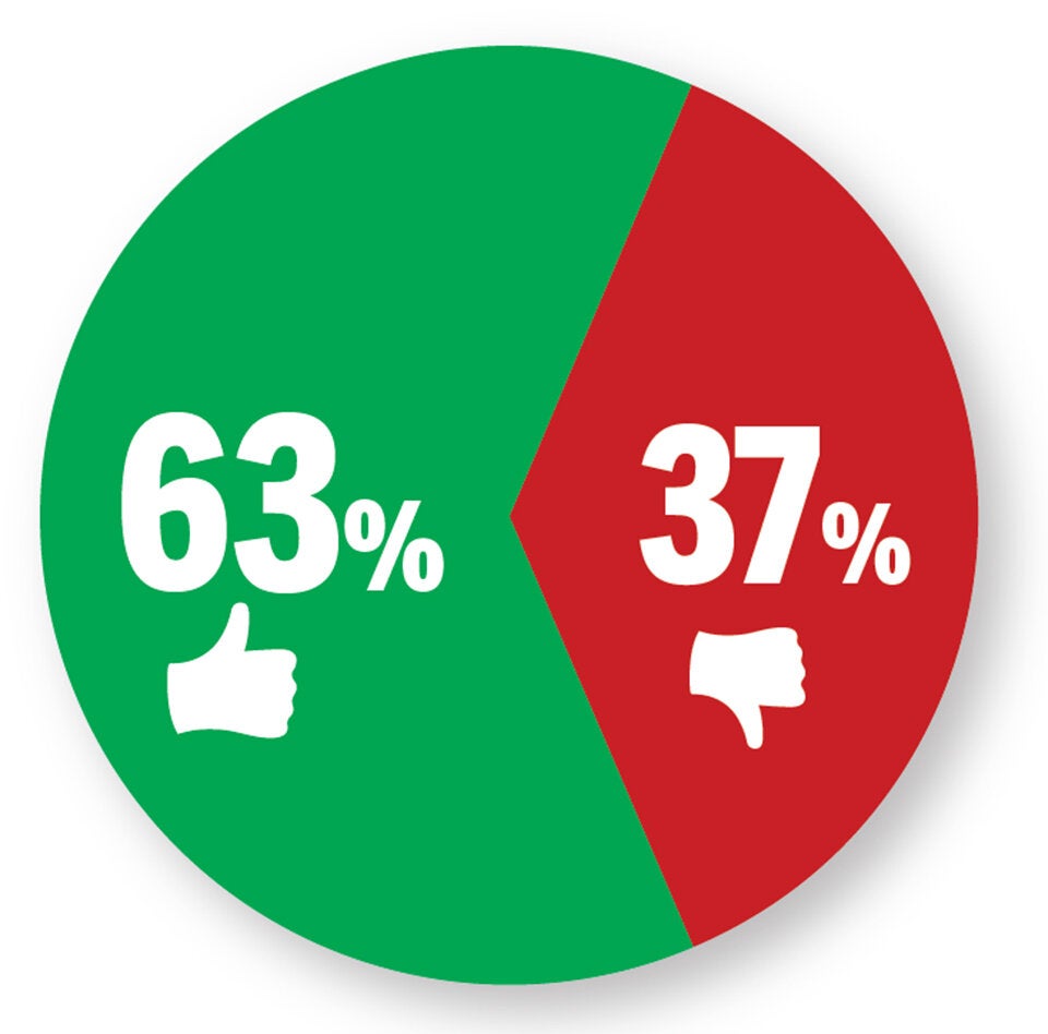 1 Jahr nach Wahl: ÖVP top, Grüne in Not