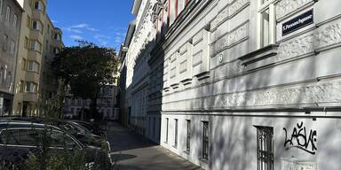 Vinjana Manset Haber