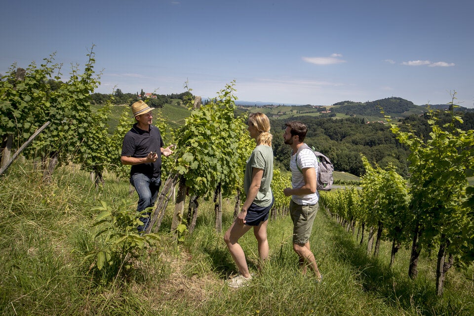 Südsteiermark im Frühling entdecken