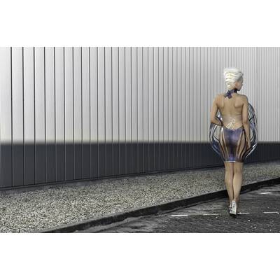 Das Roosegaarde-Kleid