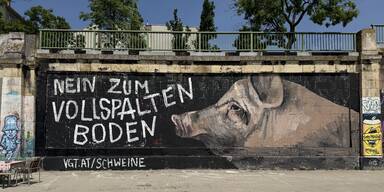 Graffiti Donaukanal Schweine-Vollspaltenboden Verein gegen Tierfabriken