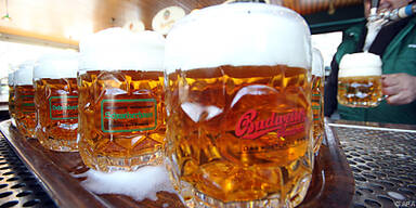 412 Seiten über Bier