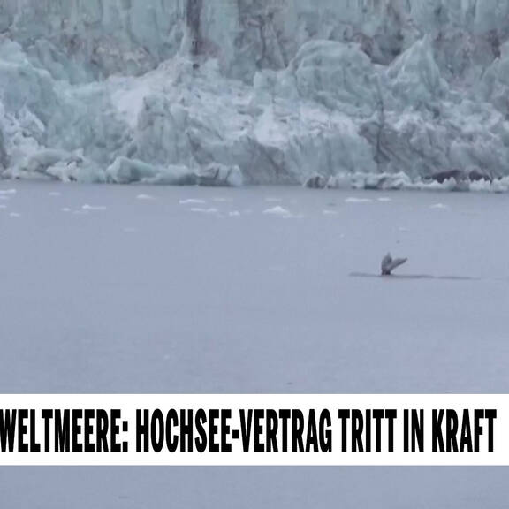 Unsere Tiere: Das große Tierschutz Magazin