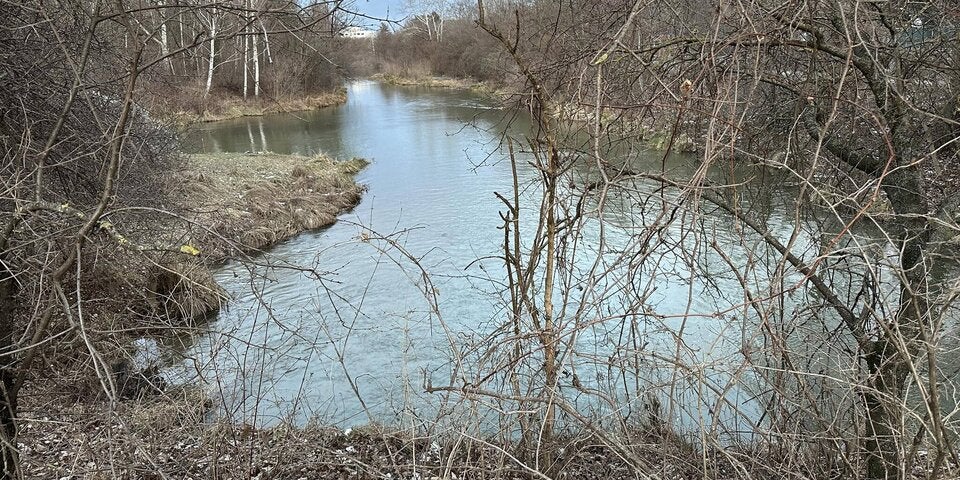Leichenteile im Wiener Marchfeldkanal