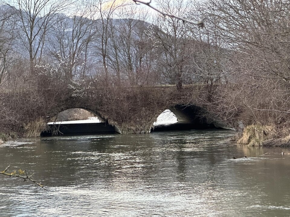 eichenteile marchfeldkanal