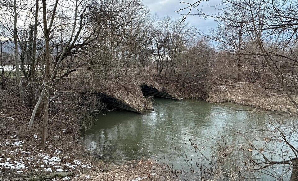 leichenteile marchfeldkanal