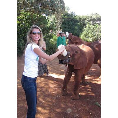 Stars als Weltverbesserer