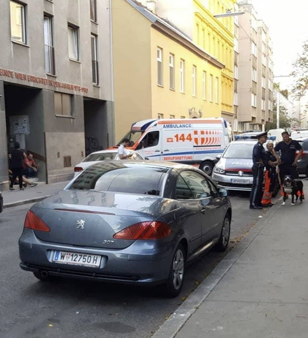 Mord-Alarm in Wien: Sohn ersticht Vater