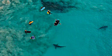 400 Haie schwimmen unter Kindergruppe