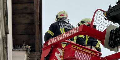 Feuerwehr rettet turmfalken