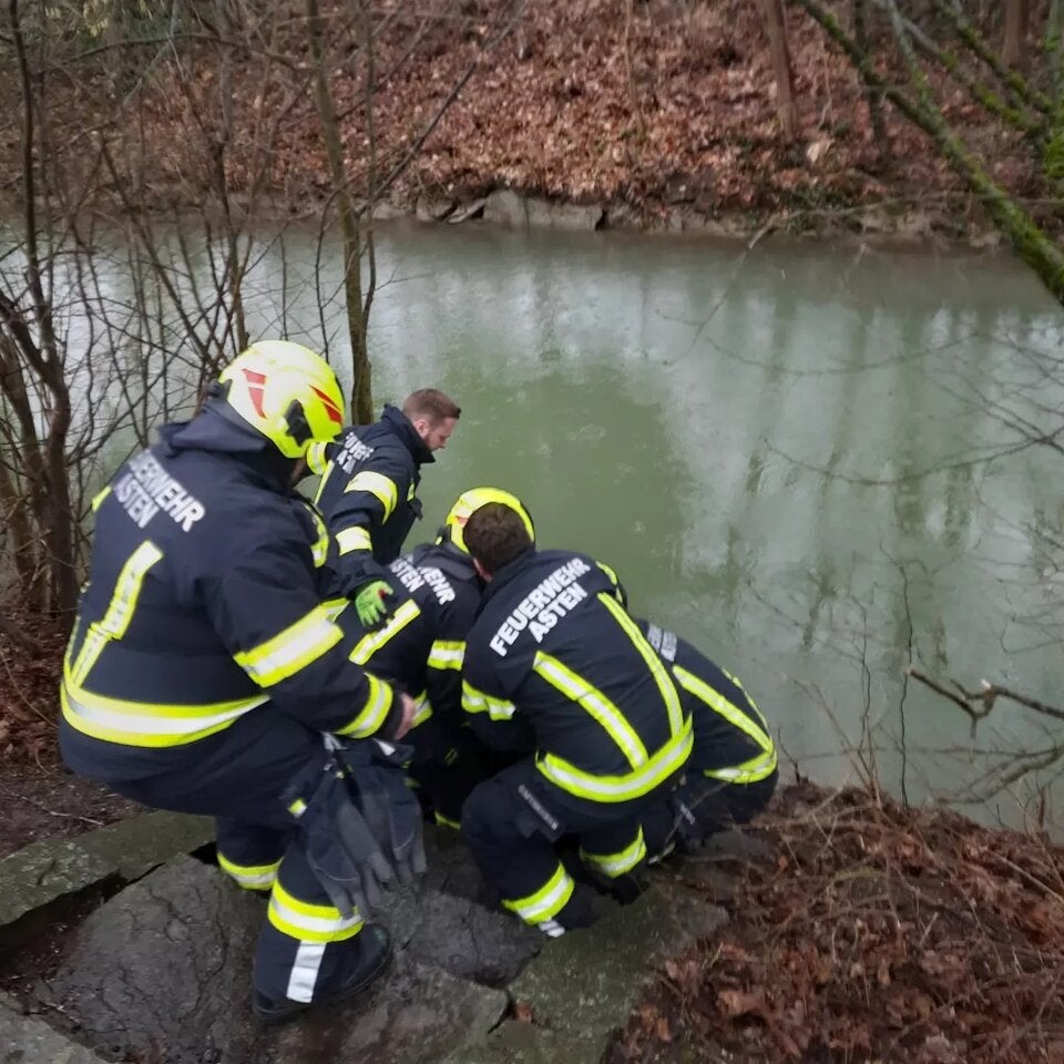 Oma fällt bei Entenfüttern ins Wasser
