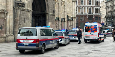 Frau im Stephansdom gestorben