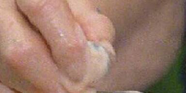 Queen Ingrid und die Känguruh-Hoden