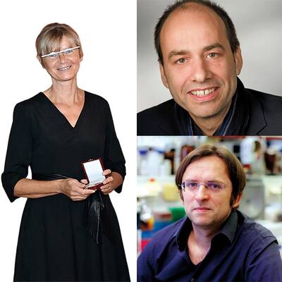 Prim. Univ.-Doz. Dr. Christoph Wenisch