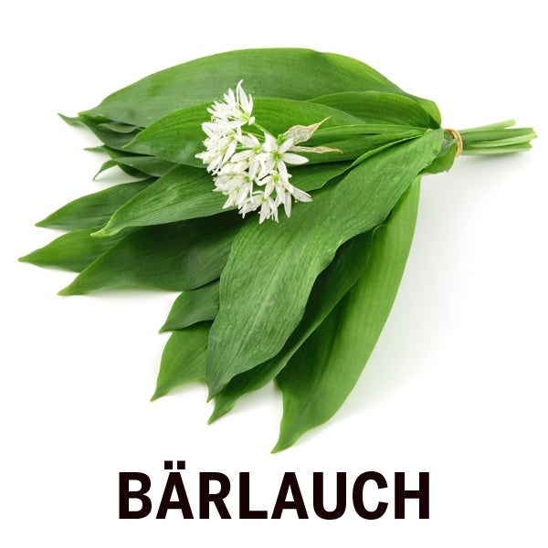 Bärlauch