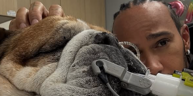 Todesdrama bei Lewis Hamilton: "Starb in meinen Armen"